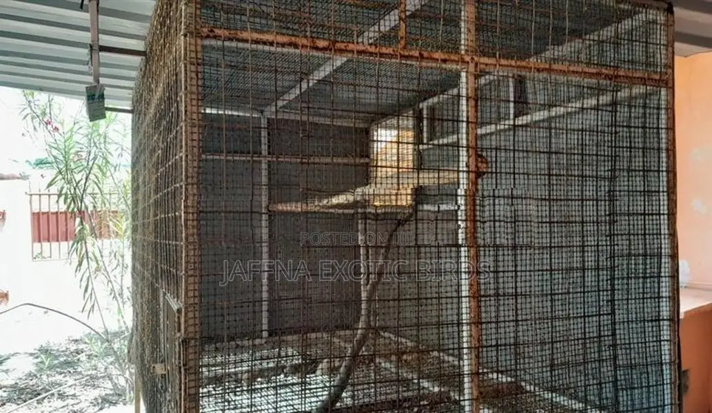 Used Bird Cages