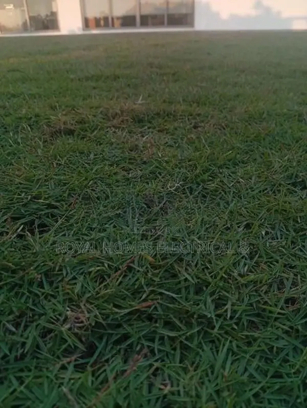 Grass Carpet Roll