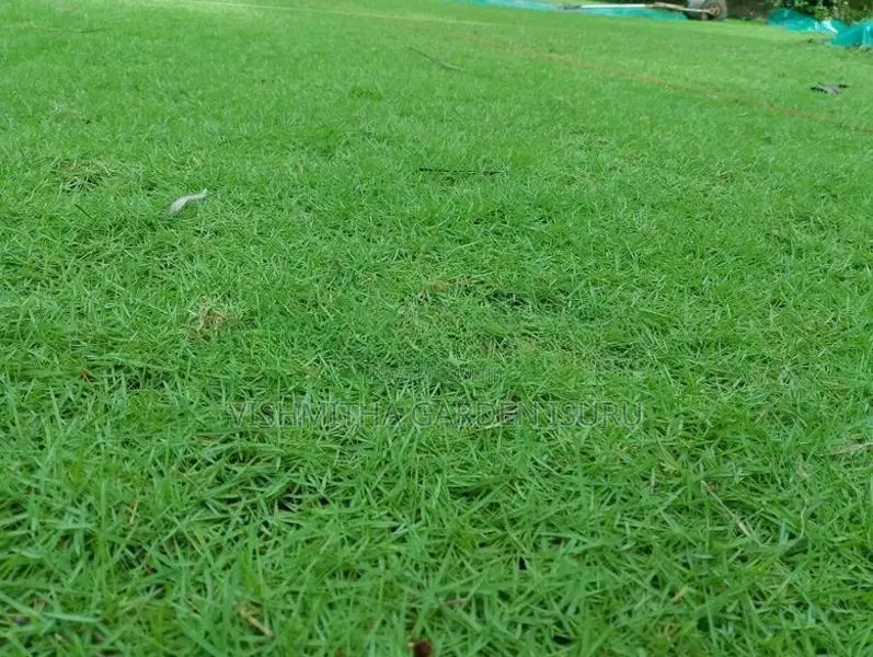 Grass Carpet Roll