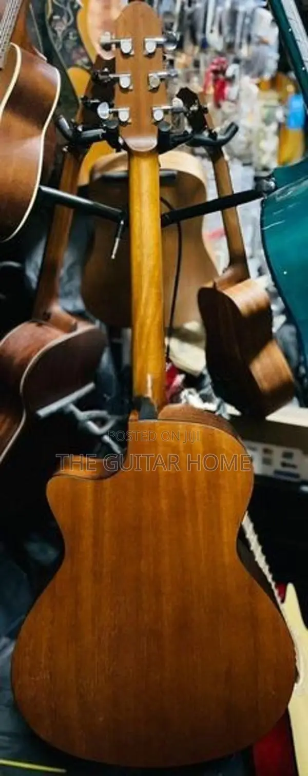 Acoustic Guitar