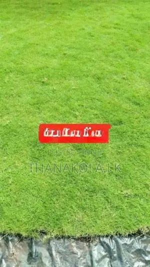 තණකොළ පිඩලි විකිණීම හා බිම සකසා අතුරා දීම. Sale Of Turf With Laying.