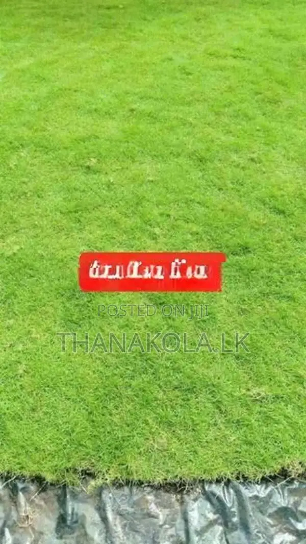 තණකොළ පිඩලි විකිණීම හා බිම සකසා අතුරා දීම. Sale Of Turf With Laying.