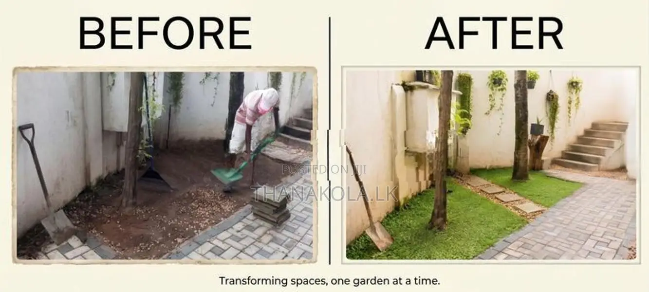තණකොළ පිඩලි විකිණීම හා බිම සකසා අතුරා දීම. Sale Of Turf With Laying.