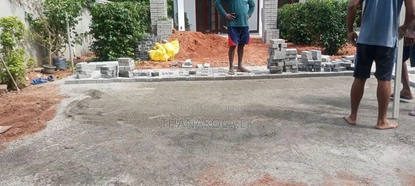 තණකොළ පිඩලි විකිණීම හා බිම සකසා අතුරා දීම. Sale Of Turf With Laying.