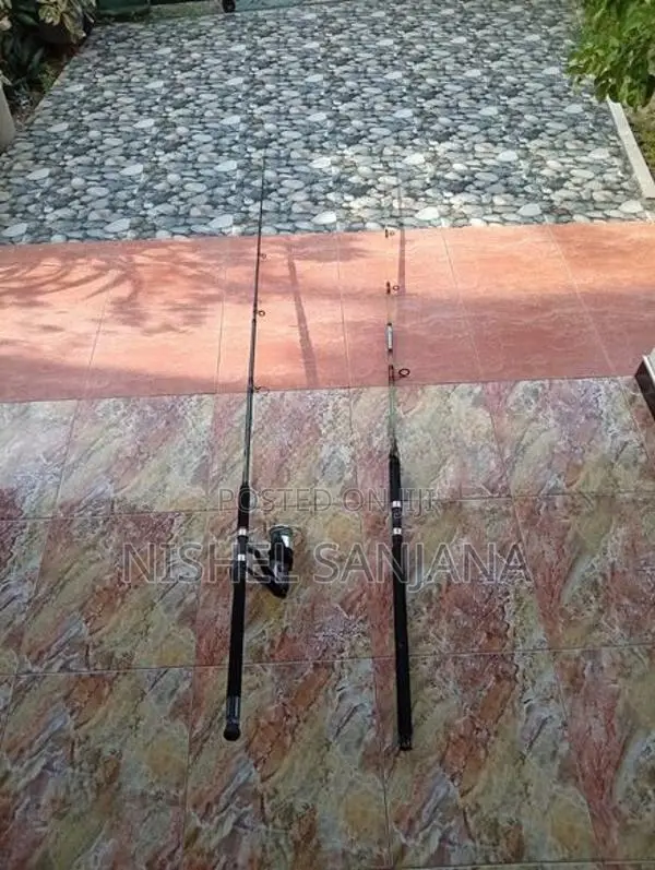 Fishing Rod