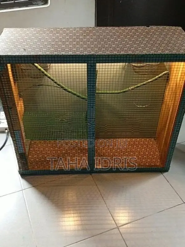 Bird Cage