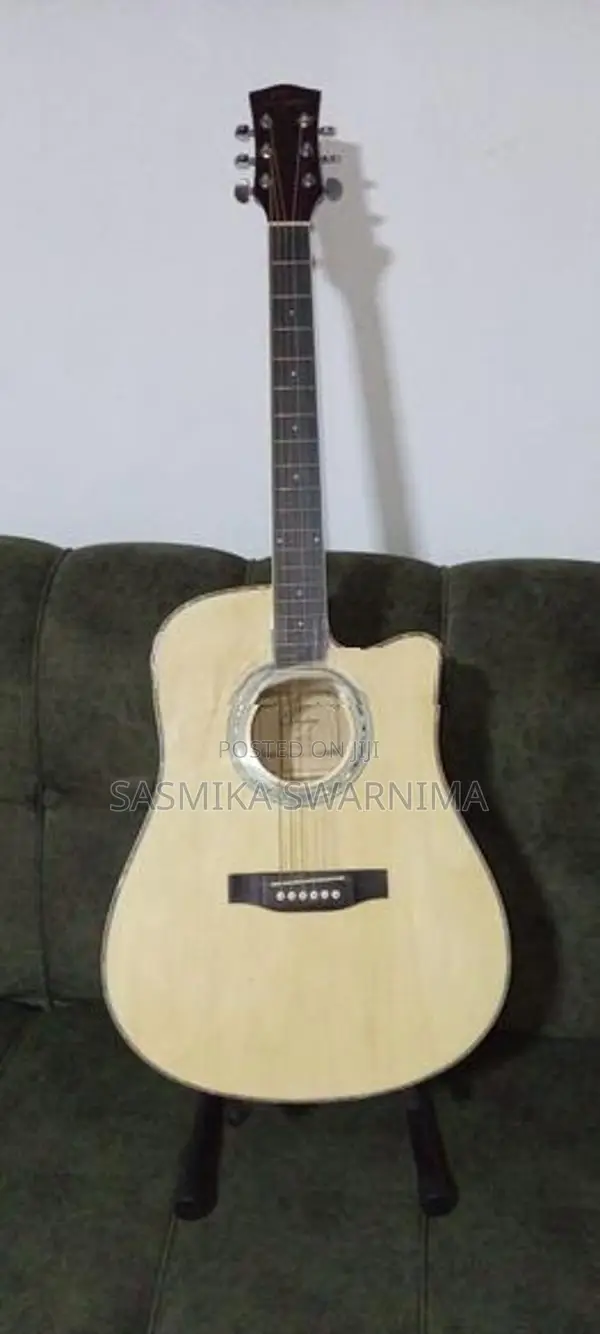 Guitar