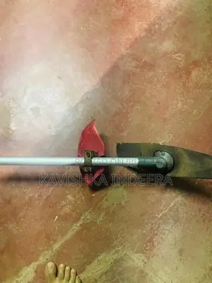 තනකොල මැශිම