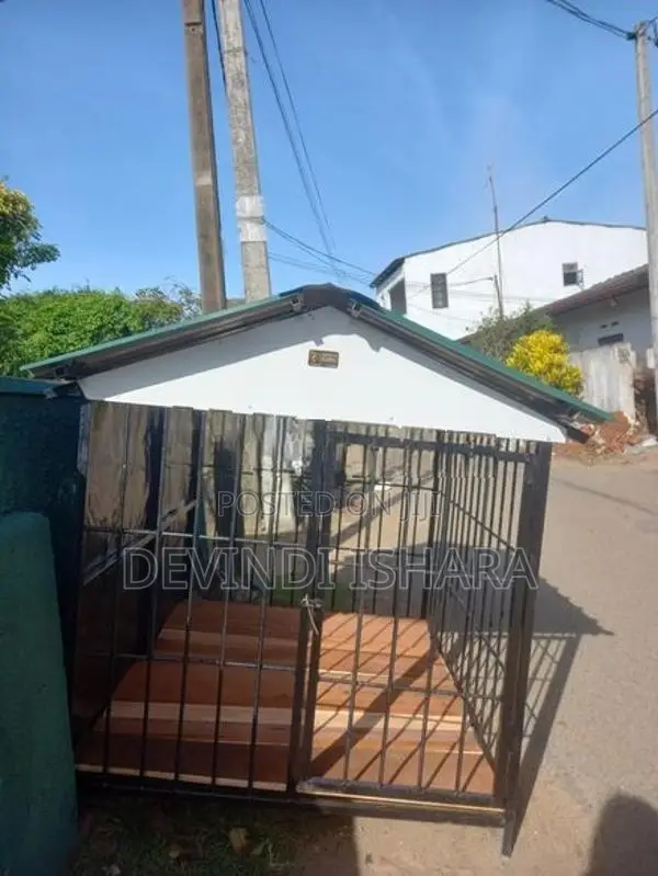 Dog Cage