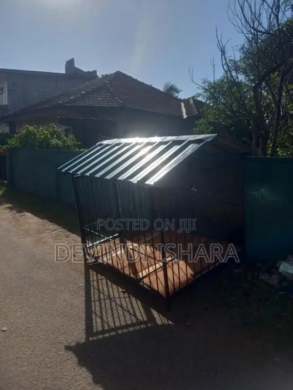 Dog Cage