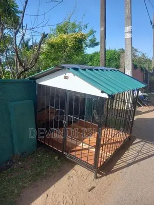 Dog Cage
