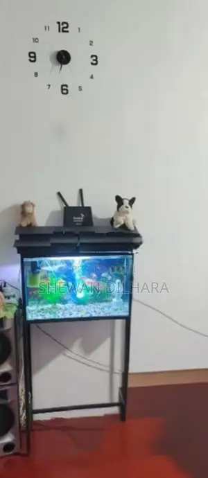 මාළු ටැංකිය