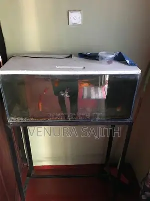Fish Tank With