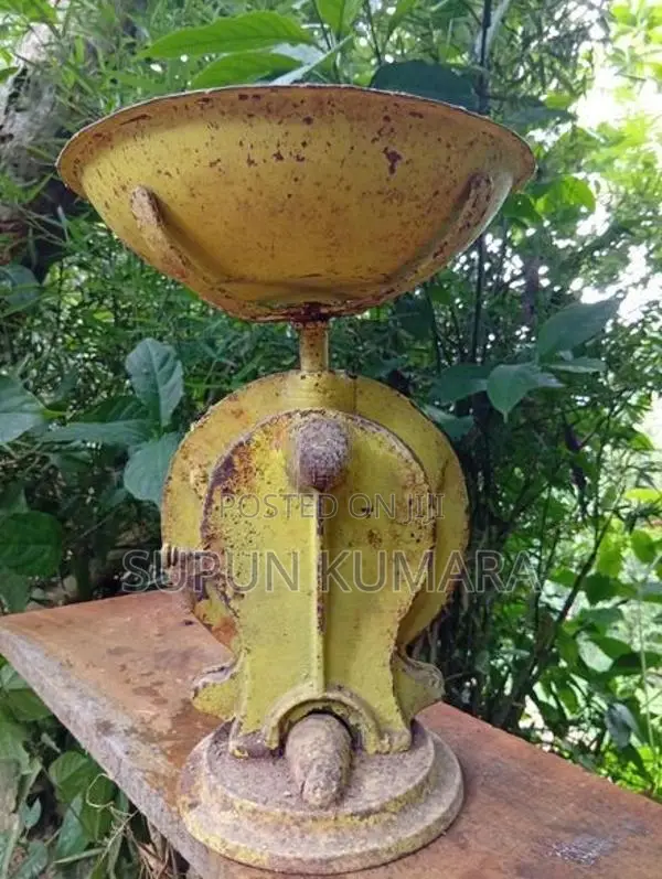 10kg Scale