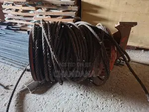 Double Cage Construction Electrical Hoist For Sale (1000kg)