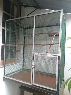 Animal Cage