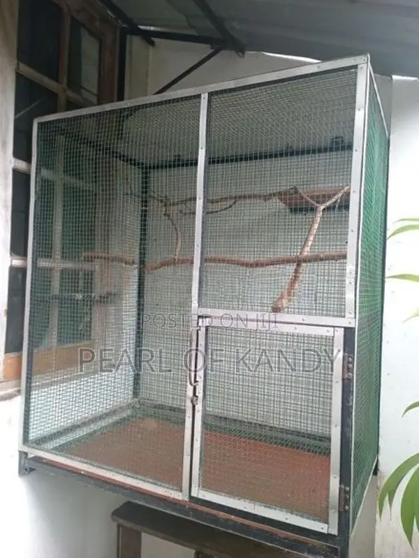 Animal Cage