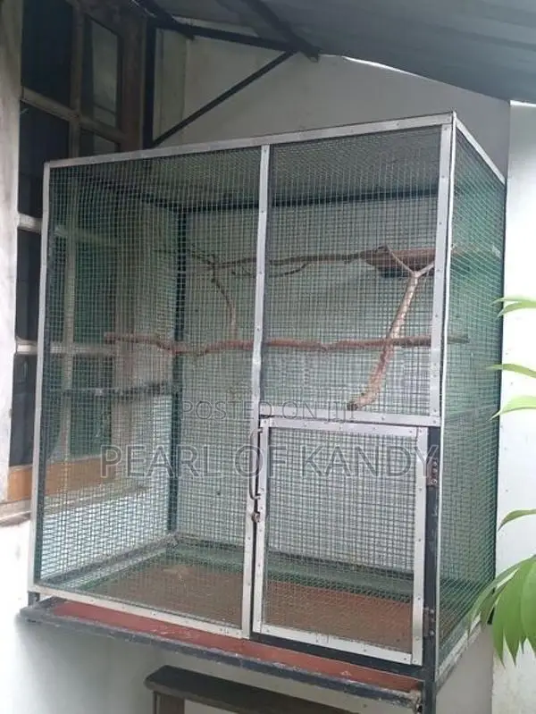 Animal Cage
