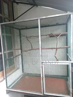 Animal Cage