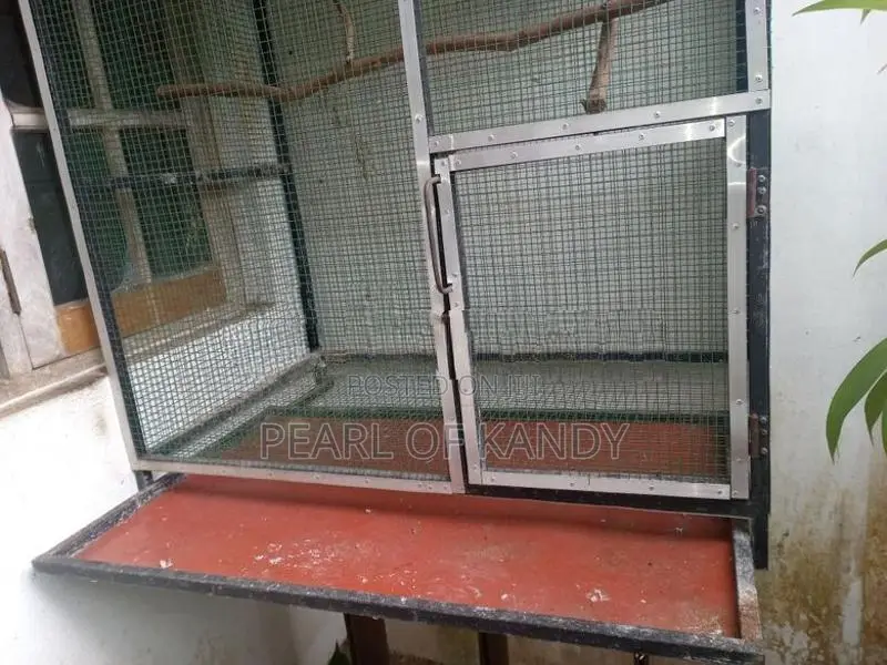 Animal Cage