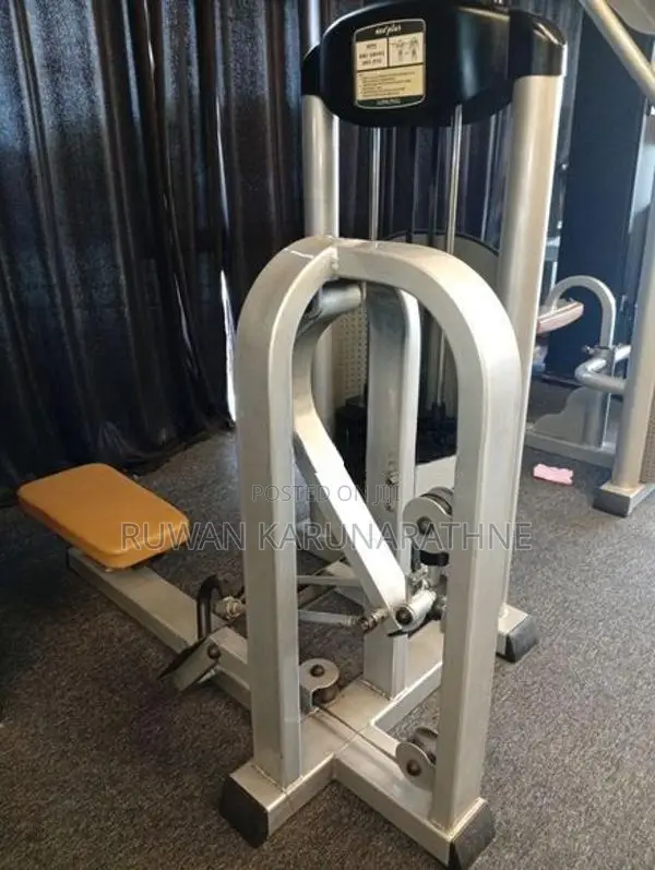 Low Row Machine