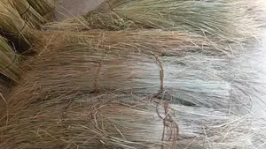 ඉලුක්