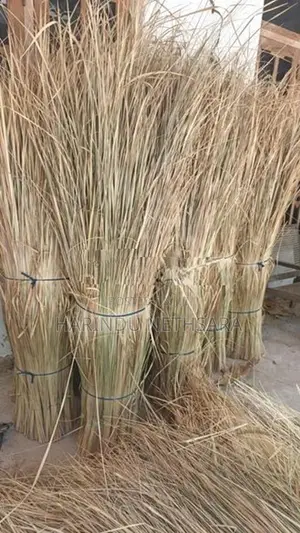 ඉලුක්