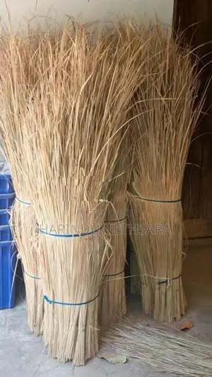 ඉලුක්