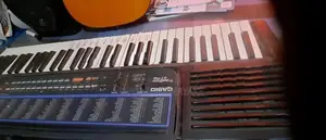 Casio Organ