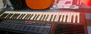 Casio Organ