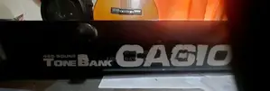 Casio Organ