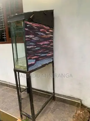 Fish Tank