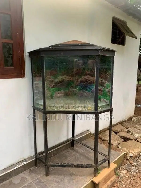 Fish Tank