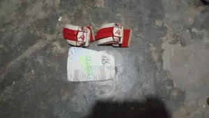 Cricket Equipment
