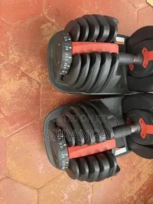 Adjustable Dumbbell Set