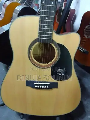 Acoustic Guitar
