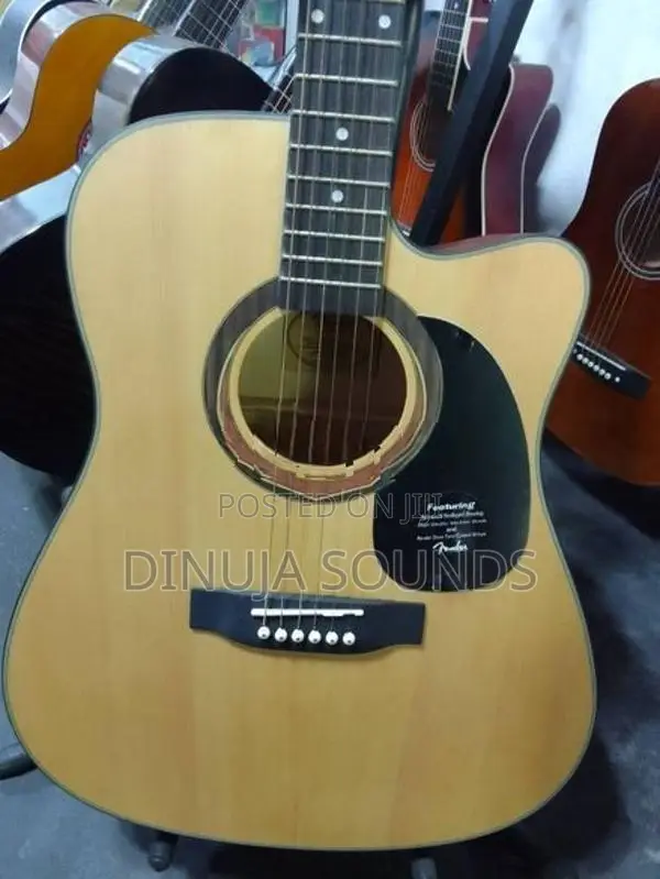 Acoustic Guitar