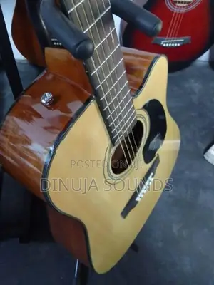 Acoustic Guitar
