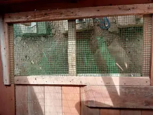 Pigeons Cage