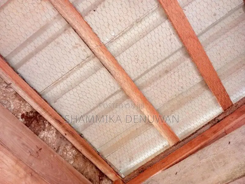 Pigeons Cage