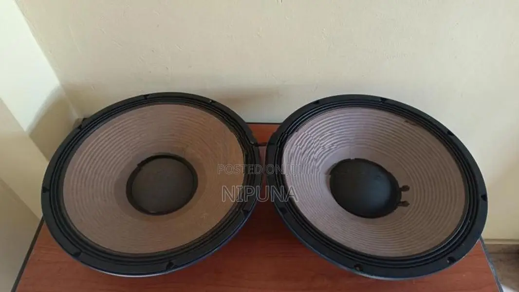 15 PA Audio Speaker