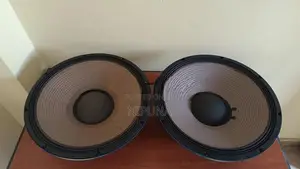 15 PA Audio Speaker