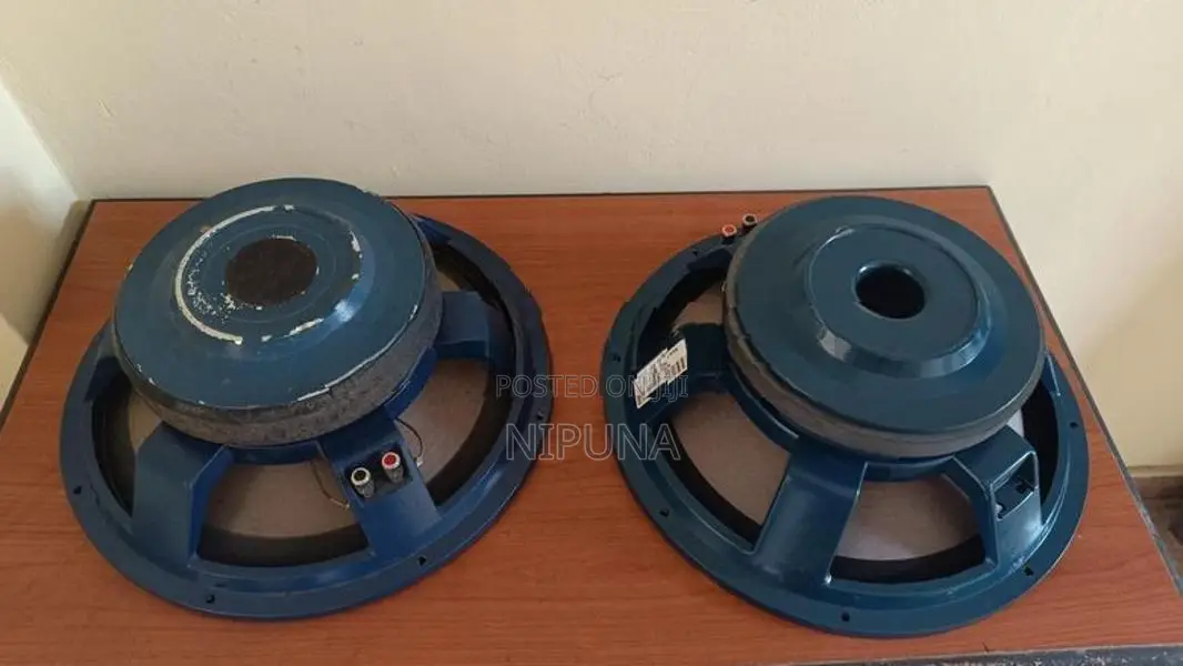 15 PA Audio Speaker