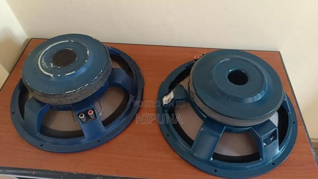 15 PA Audio Speaker