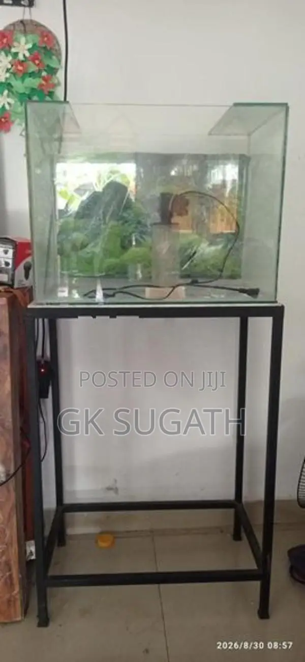 මාළු ටැංකියක්