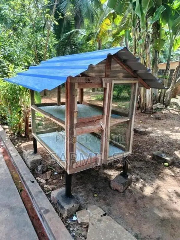 புதிய கோழிகூடு