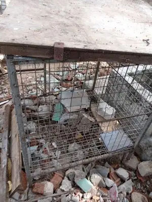 Dog Cage