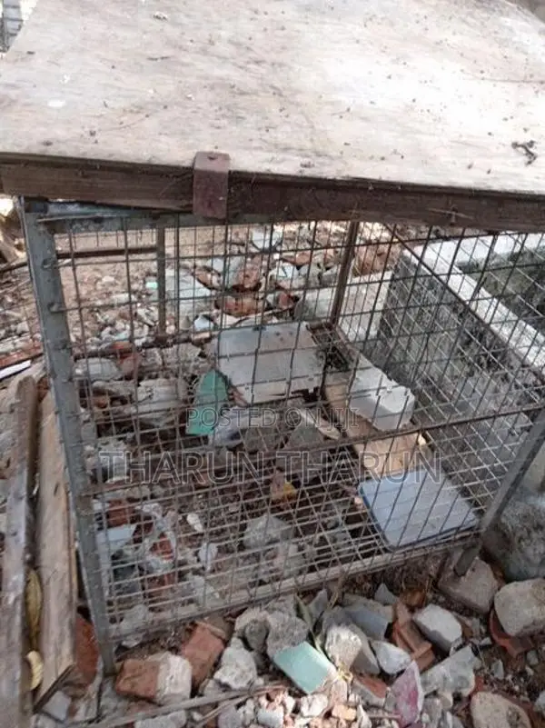 Dog Cage