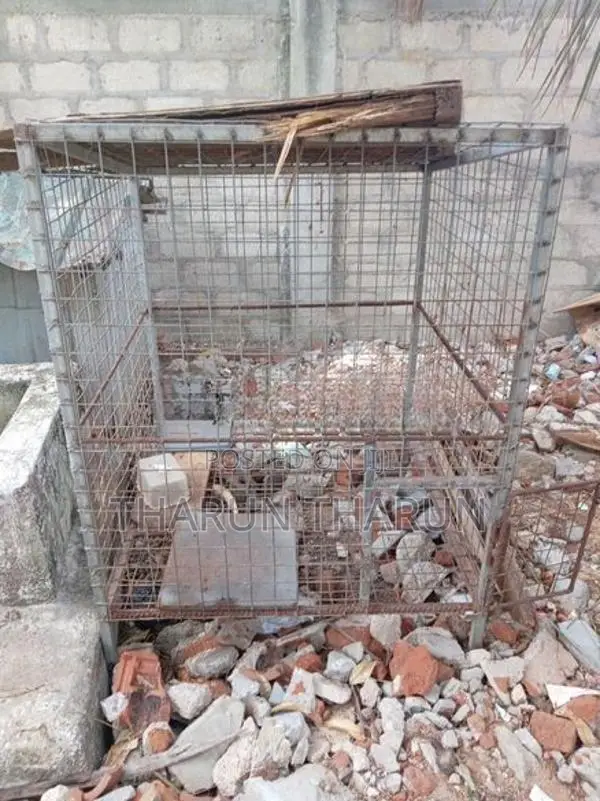 Dog Cage
