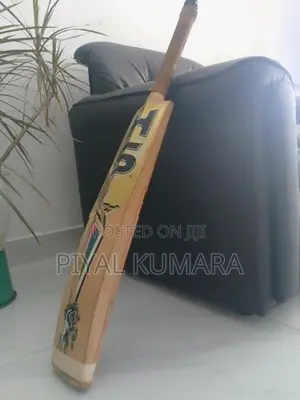Leather Bat